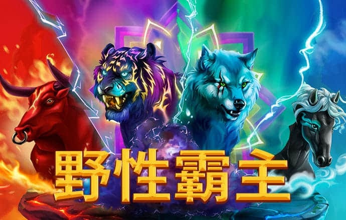 5357cc拉斯维加斯