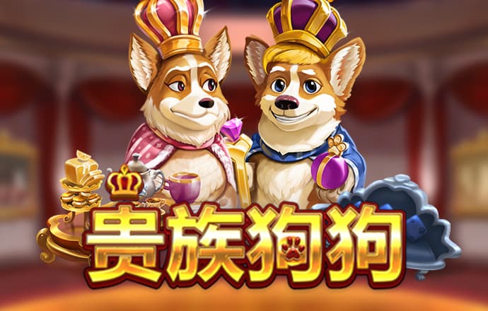 新黄金城xhj